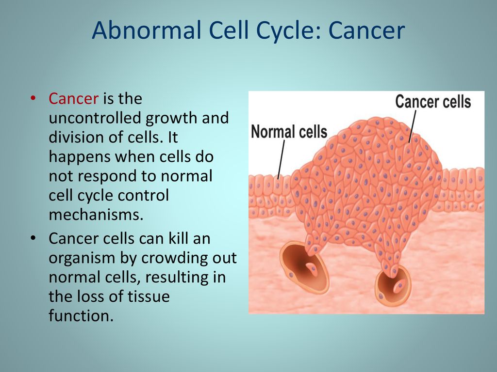 Cell Reproduction Chapter 9 Biology Diagrams