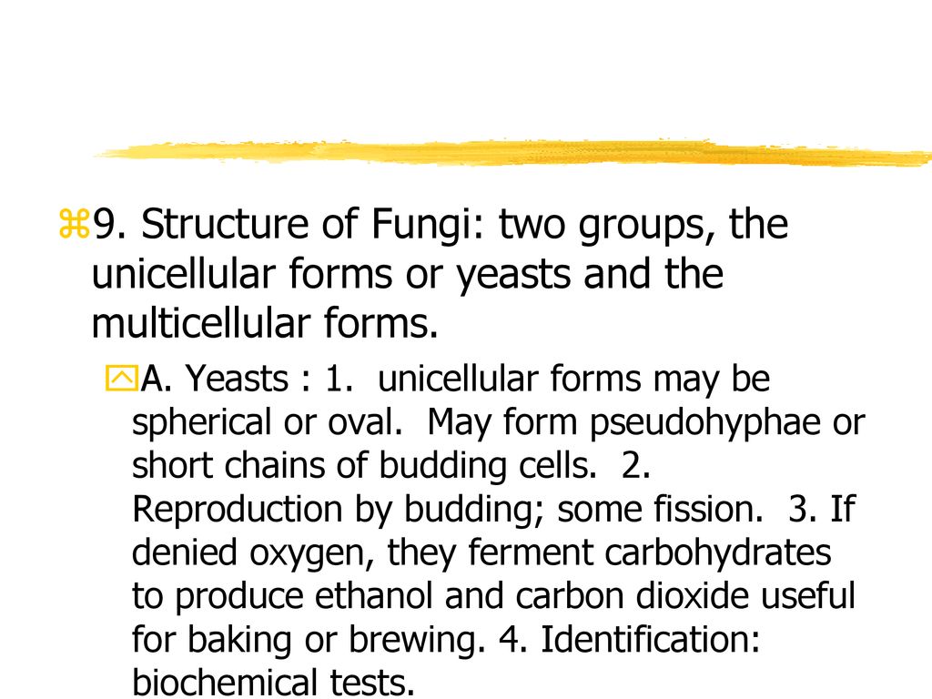 9. Structure of Fungi: two groups, the unicellular forms or yeasts and the multicellular forms.