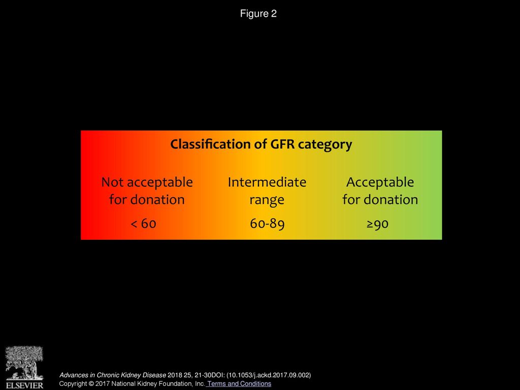 Figure 2 KDIGO classification of GFR categories and use in decision-making for donor candidates.