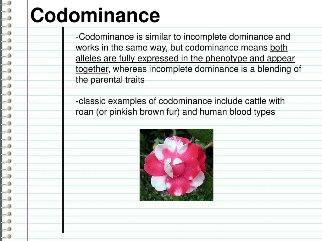 Incomplete Dominance While Much Of Genetics Deals With Dominant And Recessive Traits Where The Offspring Will Resemble One Of The Parents Sometimes There Ppt Download