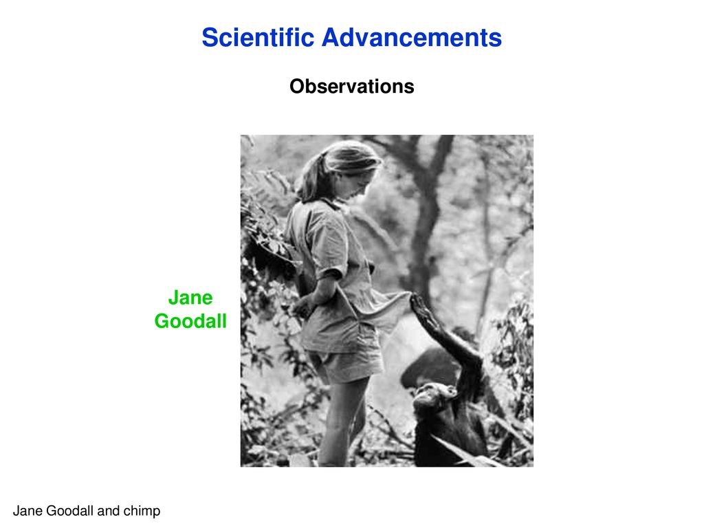 (LSU BIOL 4253, Sections 1 & 2, Spring 2018) - ppt download