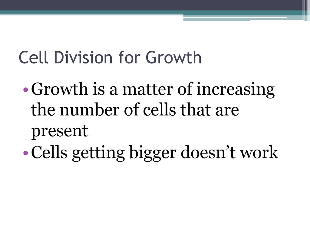 The Importance of Cell Division Biology Diagrams