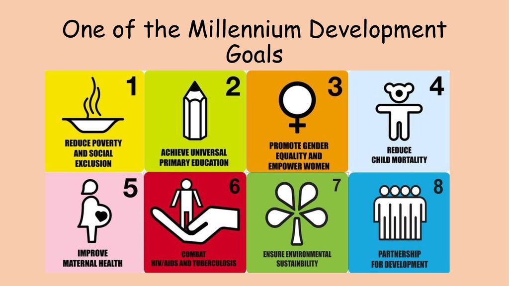 One of the Millennium Development Goals