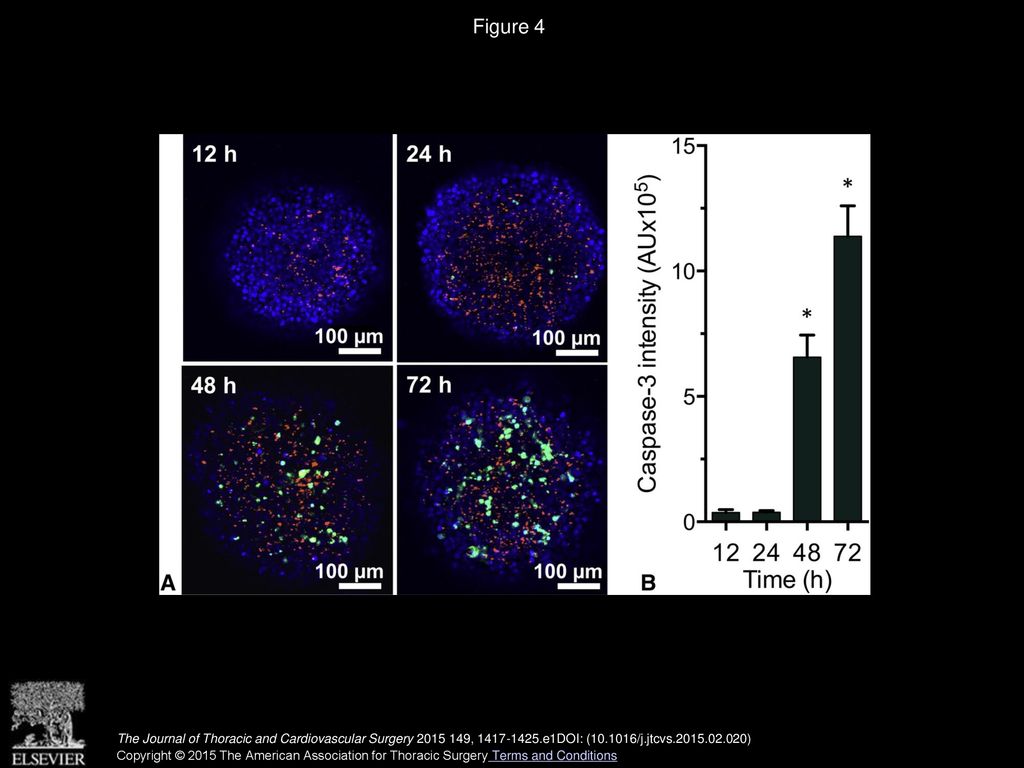 Paclitaxel-loaded expansile nanoparticles enhance chemotherapeutic drug ...