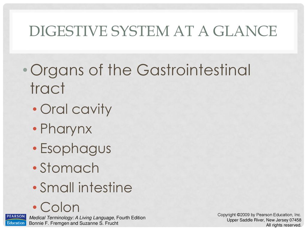 Digestive System at a Glance - ppt download