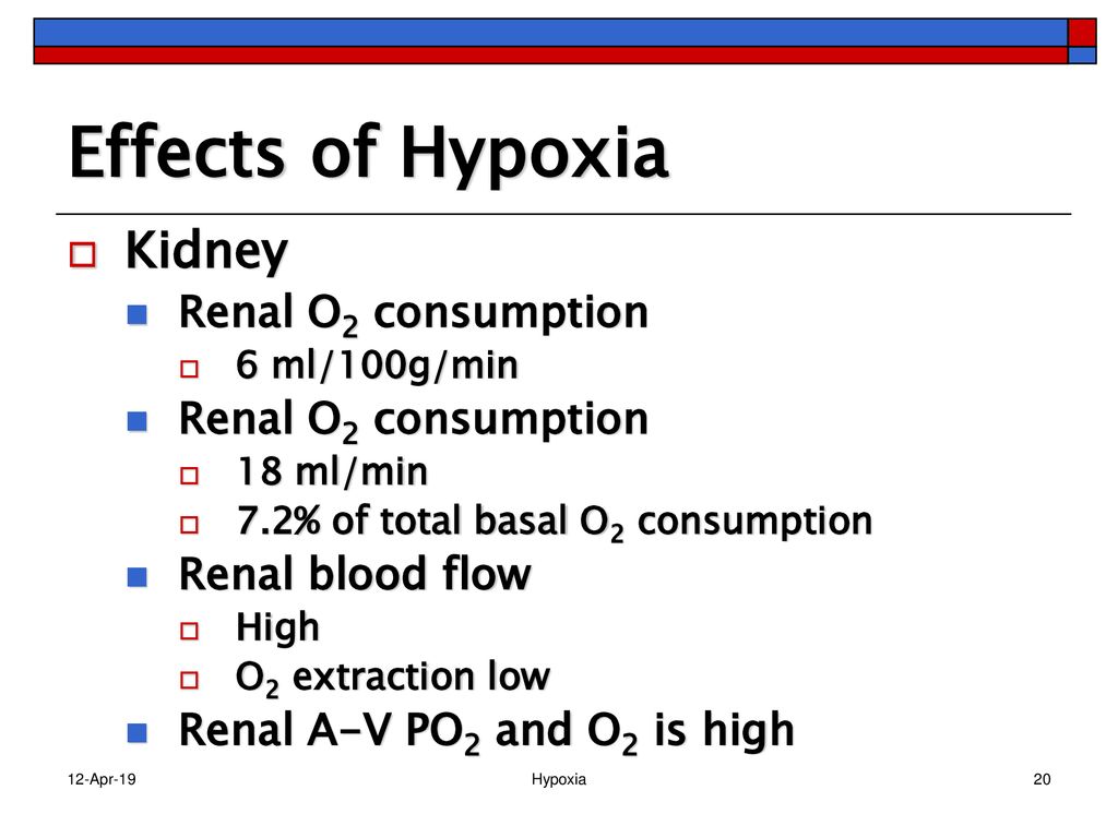 Effects of Hypoxia Kidney Renal O2 consumption Renal blood flow