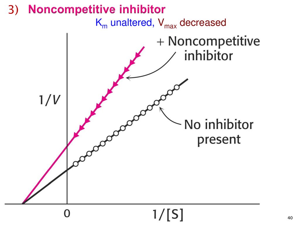 Noncompetitive inhibitor