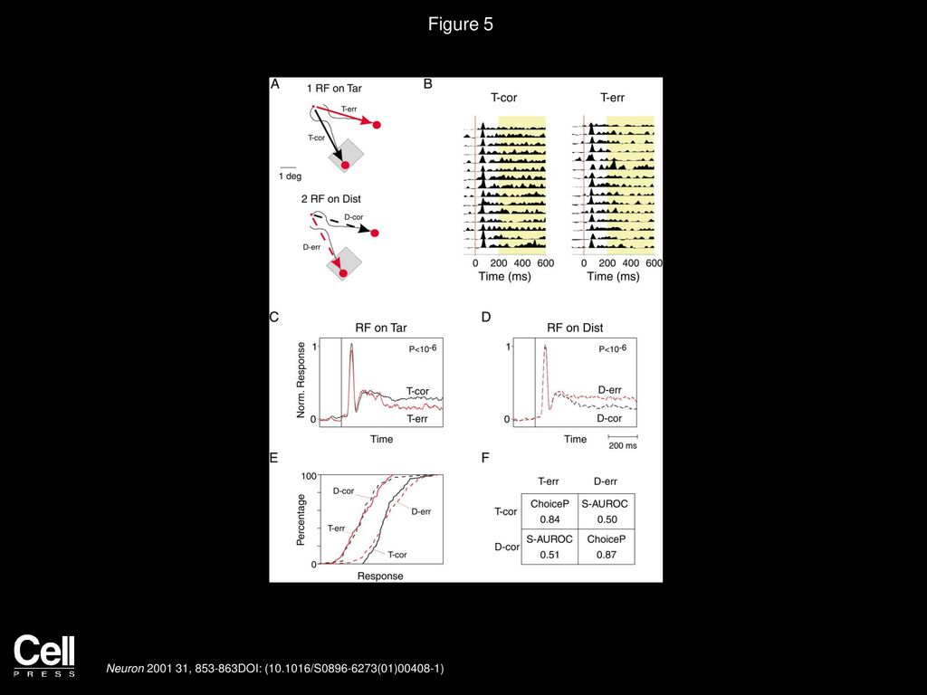 Figure 5 Error Analysis Distal to the Critical Zone