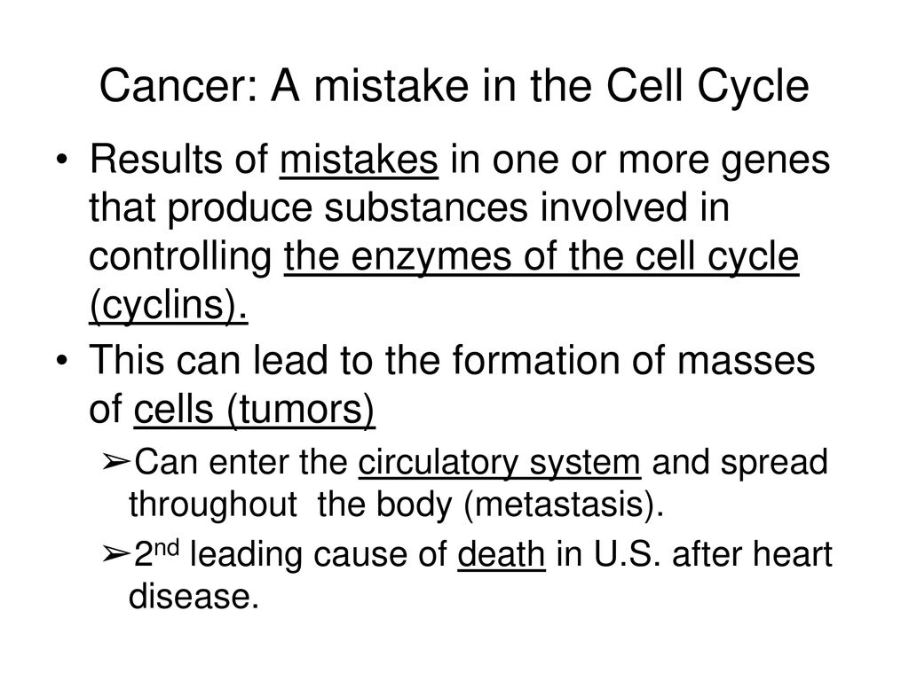 The Cell Cycle and Mitosis Biology Diagrams