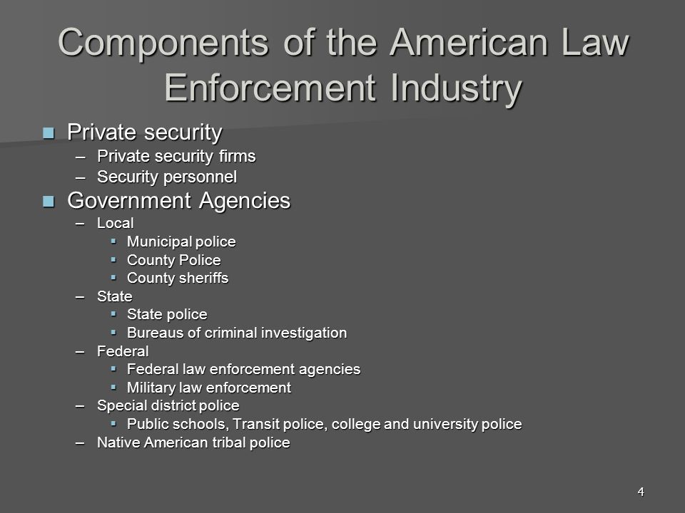 Components of the American Law Enforcement Industry