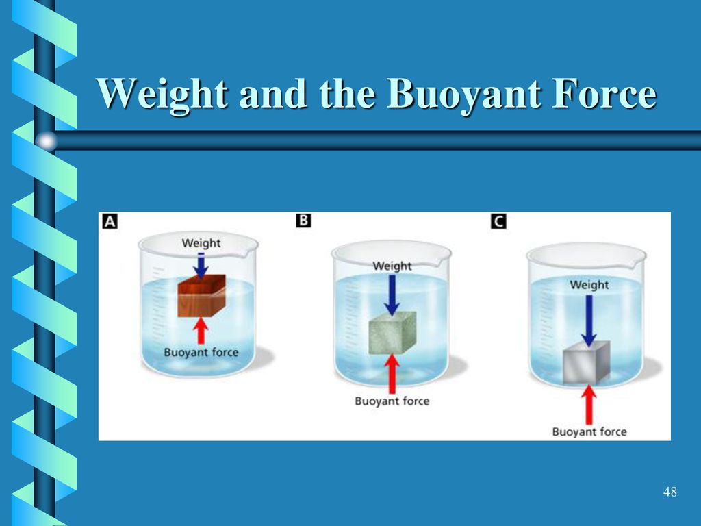 Forces in Fluids. - ppt download