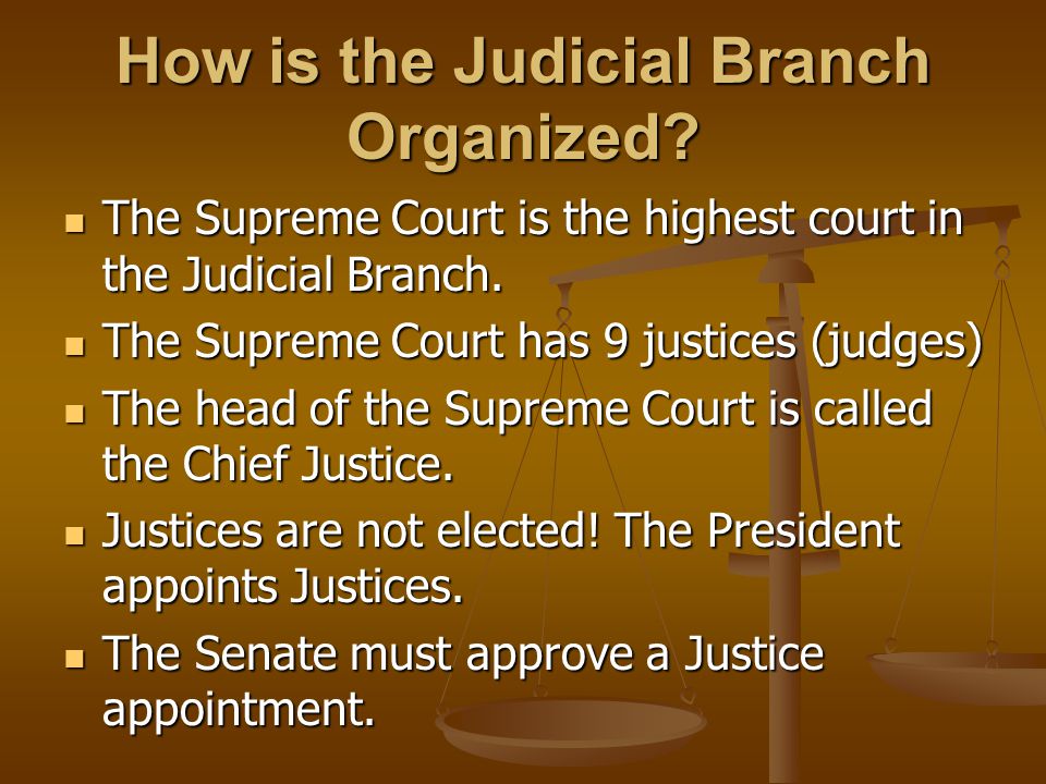 How is the Judicial Branch Organized