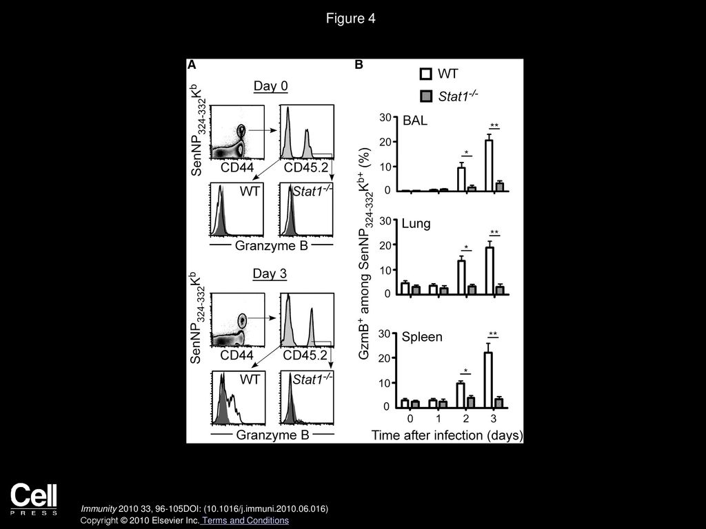 Figure 4 STAT1 Is Required for the Antigen-Independent Expression of gzmB Protein in Memory CD8+ T Cells.