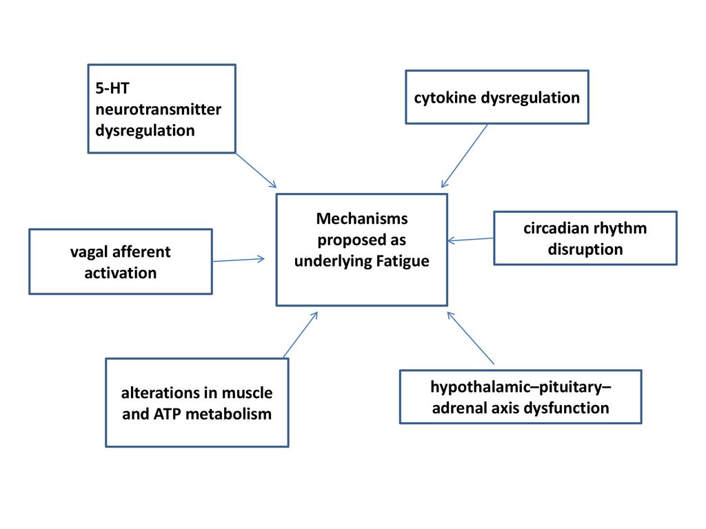 neurotransmitter dysregulation cytokine dysregulation