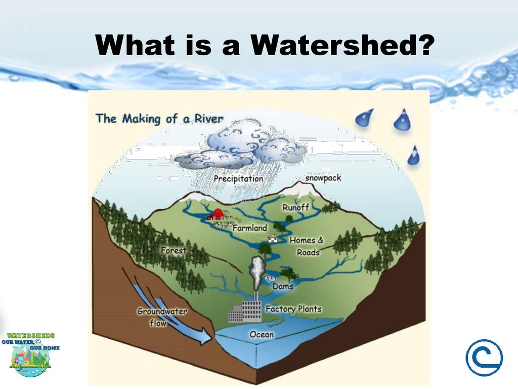 Watersheds – Our Water, Our Home - ppt download