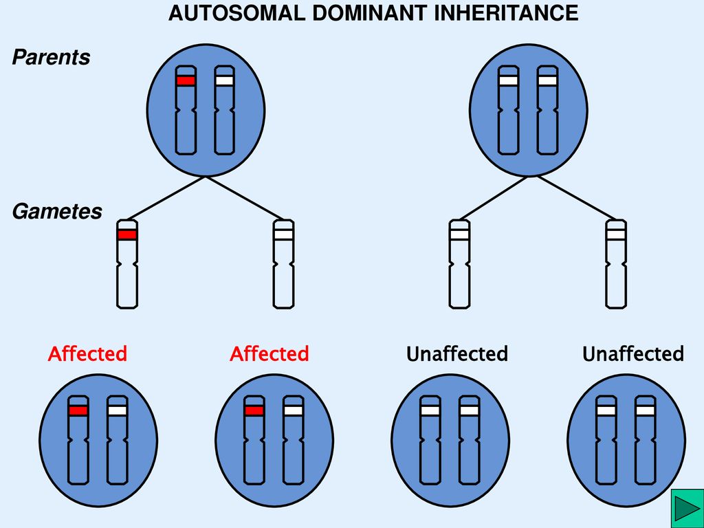 In Autosomal Dominant Inheritance Cgi Current Frame