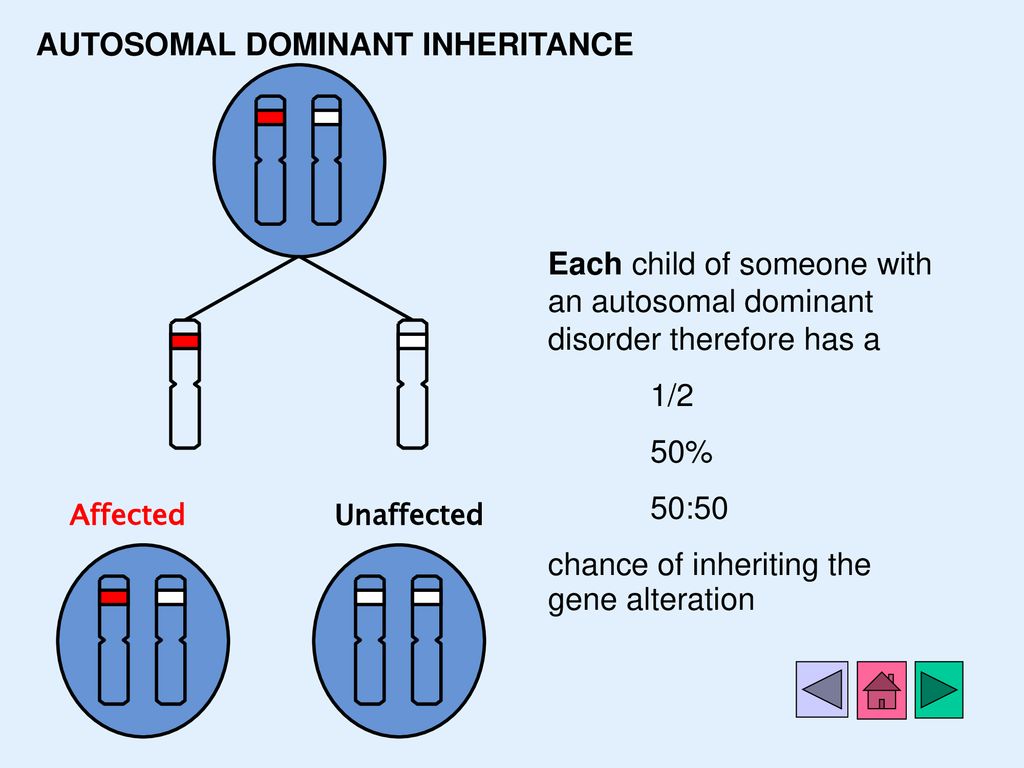 In Autosomal Dominant Inheritance Asp Page