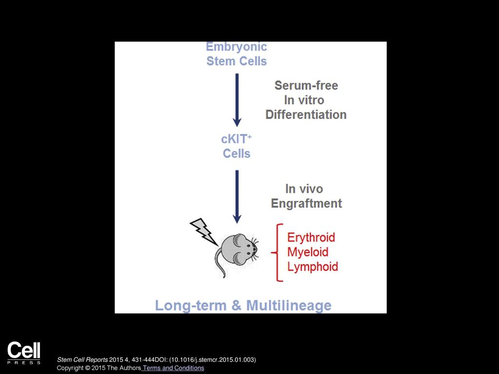 Stem Cell Reports , DOI: ( /j.stemcr )