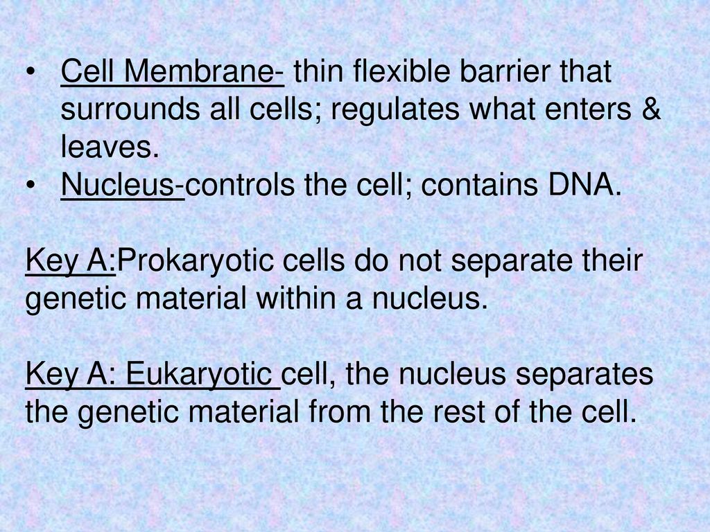 7.1 Life is Cellular The Discovery of the Cell ppt download