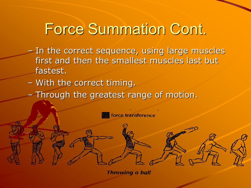Force Summation Cont. In the correct sequence, using large muscles first and then the smallest muscles last but fastest.