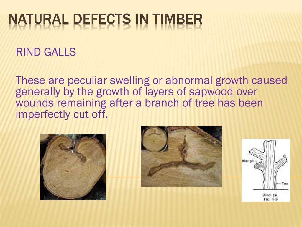 NATURAL+Defects+in+timber