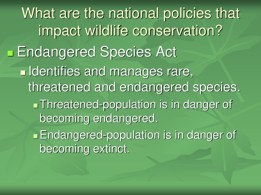 Exploring the History and Importance of Wildlife Management - ppt download