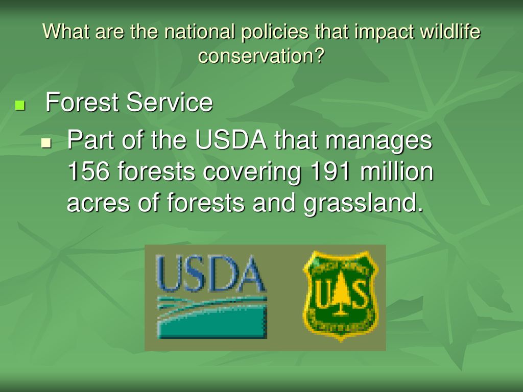 Exploring the History and Importance of Wildlife Management - ppt download