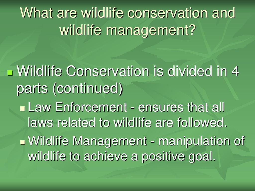 Exploring The History And Importance Of Wildlife Management Ppt Download 2985