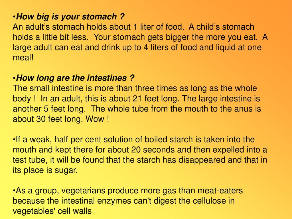 DIGESTION Ppt Download digestion-ppt-download