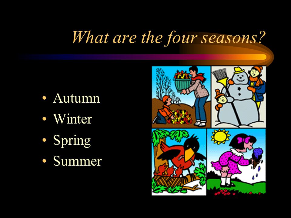 What are the four seasons