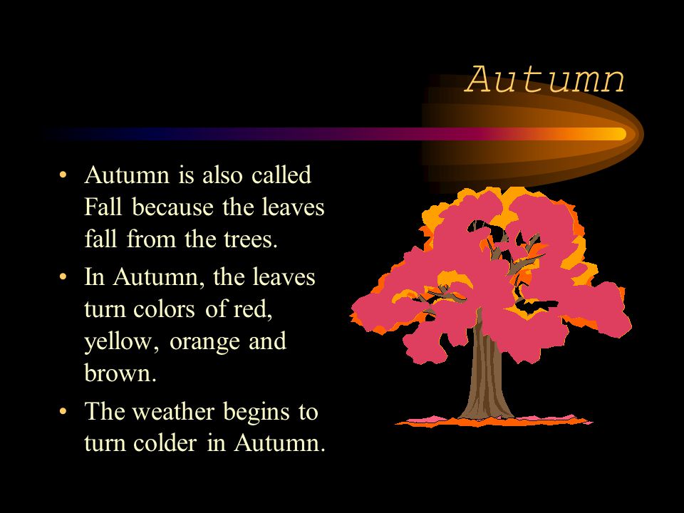 Autumn Autumn is also called Fall because the leaves fall from the trees. In Autumn, the leaves turn colors of red, yellow, orange and brown.