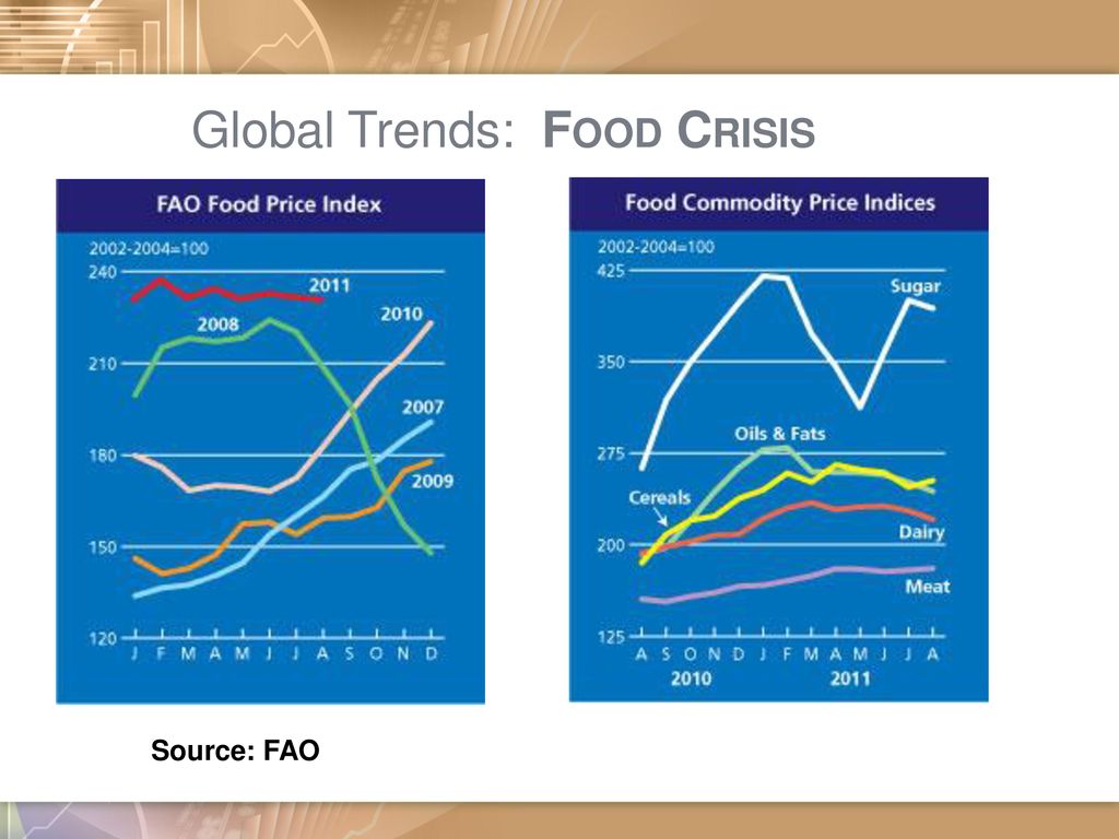 Global Trends: Food Crisis