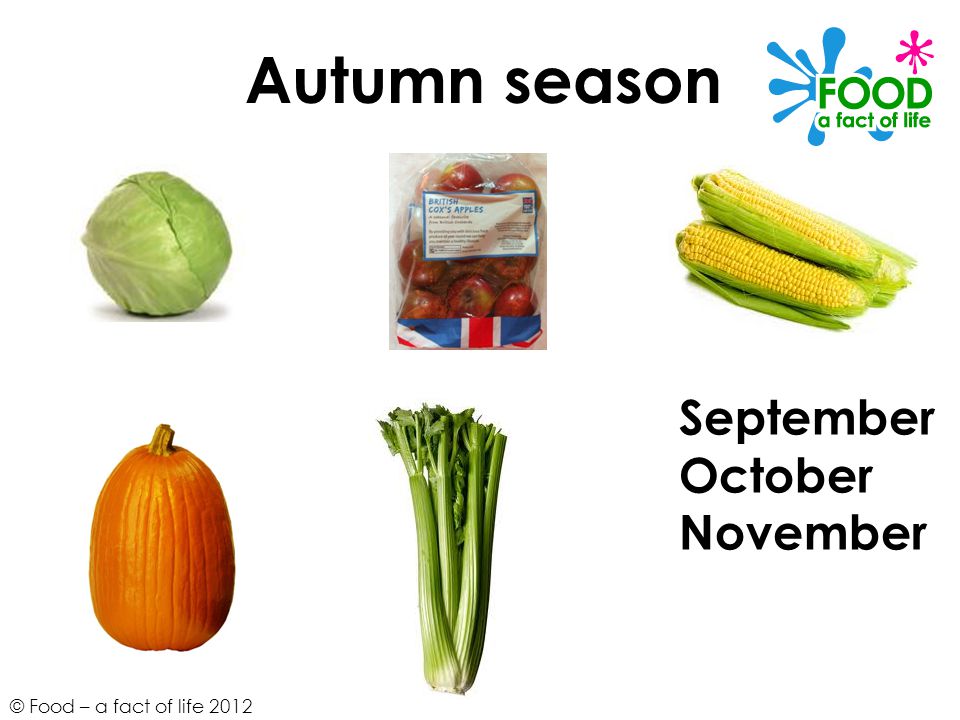 Autumn season September October November