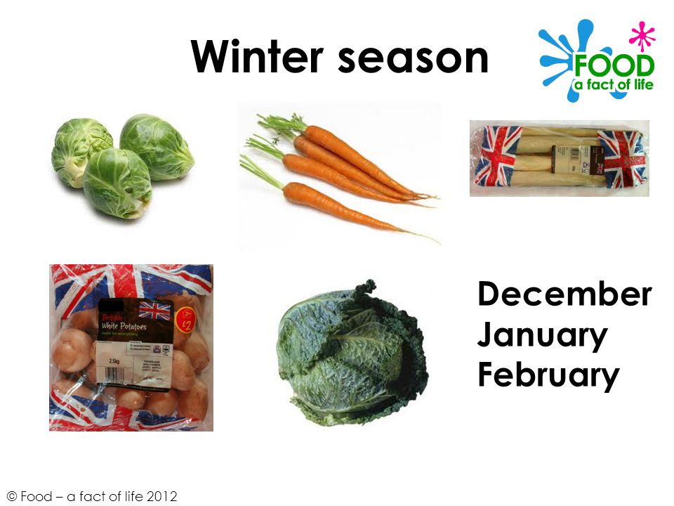 Winter season December January February
