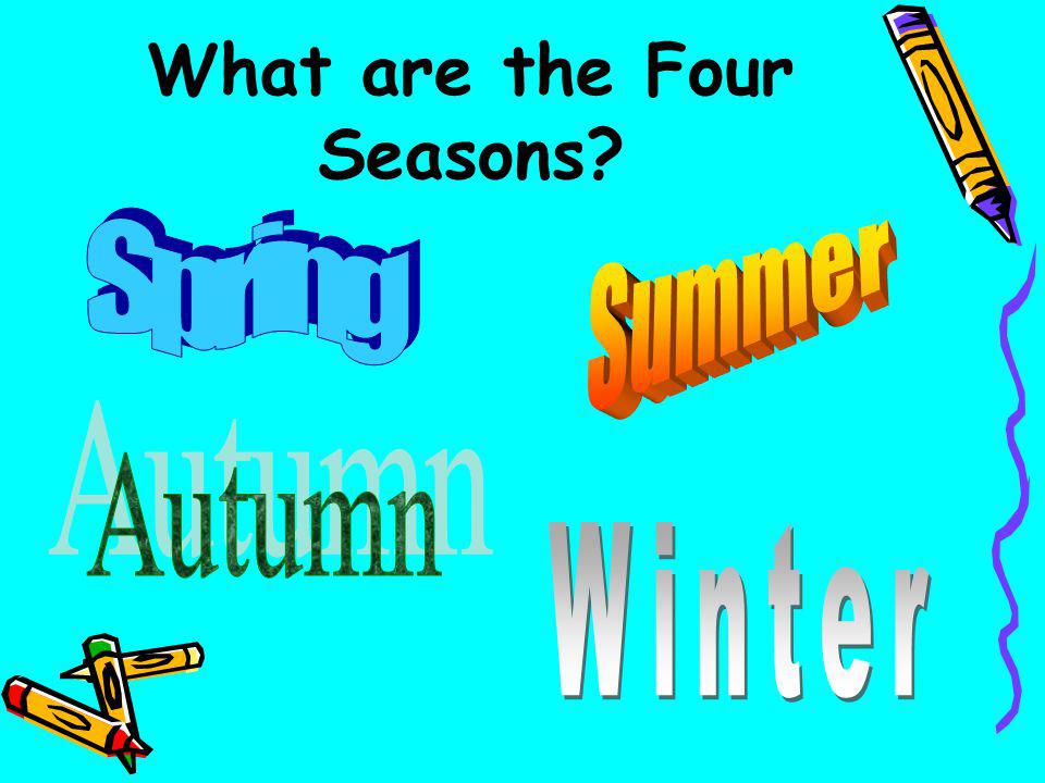 What are the Four Seasons