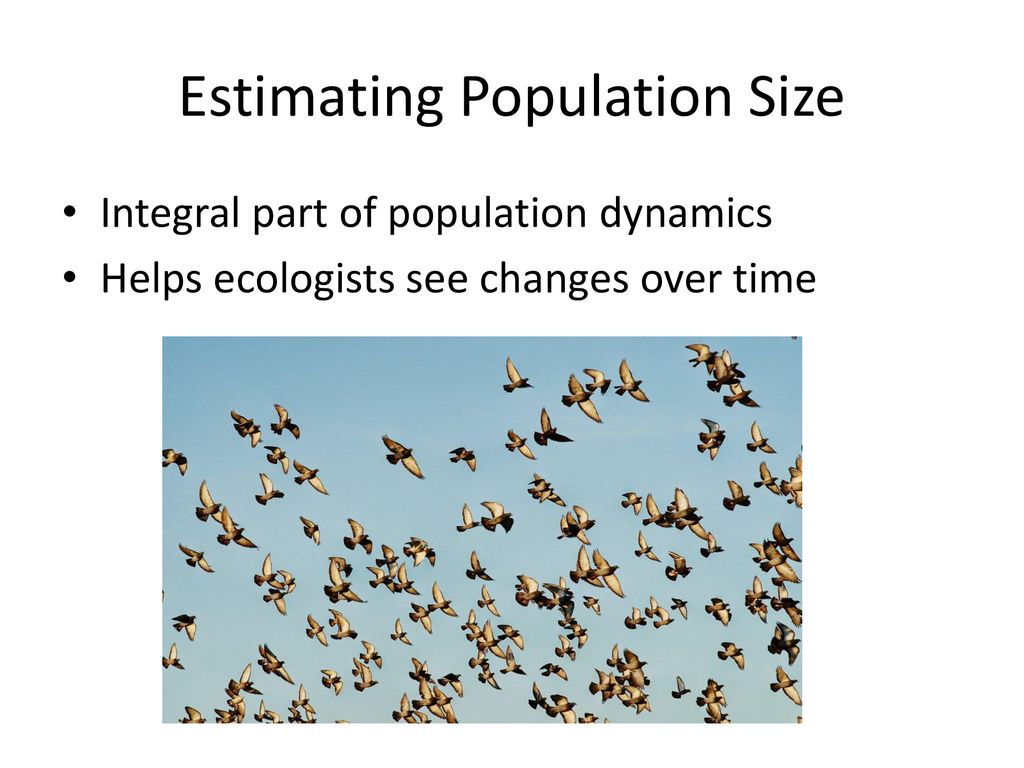 Estimating Population Size Using Mark and Recapture - ppt download