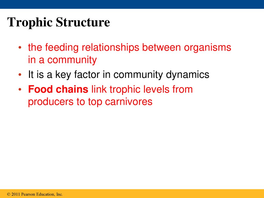 Trophic Structure the feeding relationships between organisms in a community. It is a key factor in community dynamics.