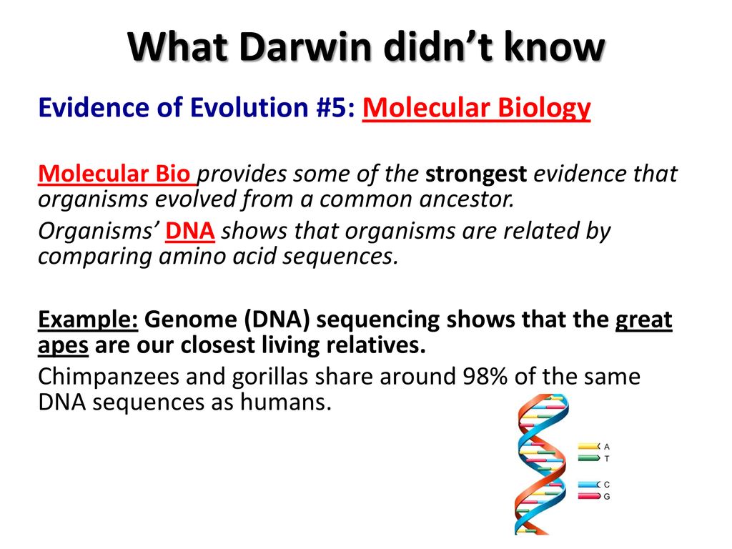 Describe what is this picture showing. - ppt download