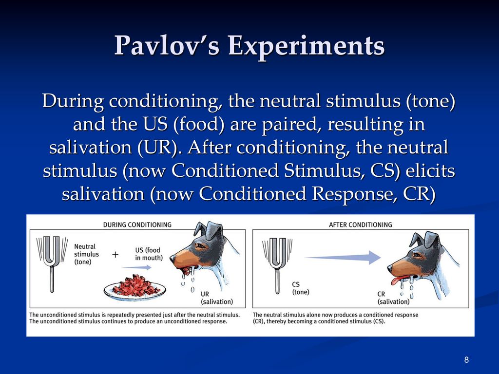 Pavlov’s Experiments
