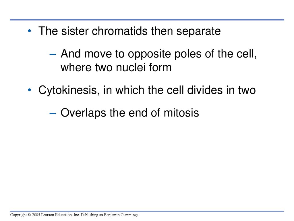 The Cellular Basis of Reproduction and Inheritance Biology Diagrams