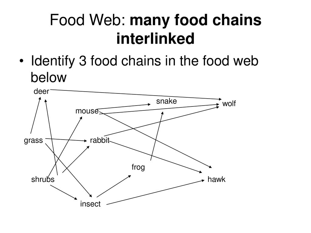 Day 2 SCI 10 Ecology Ppt Download day-2-sci-10-ecology-ppt-download