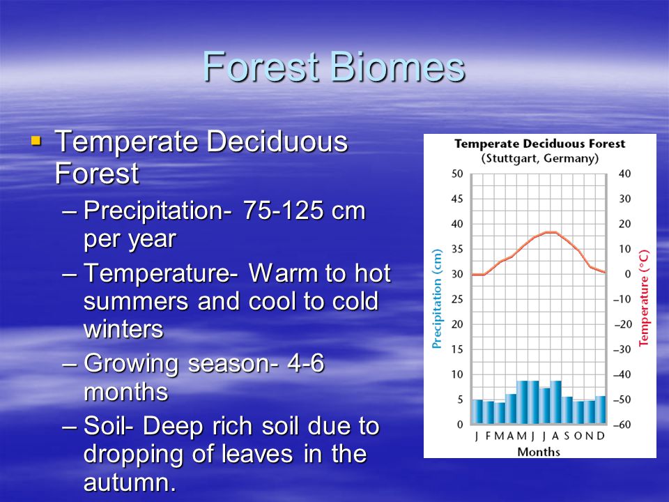 Forest Biomes Temperate Deciduous Forest