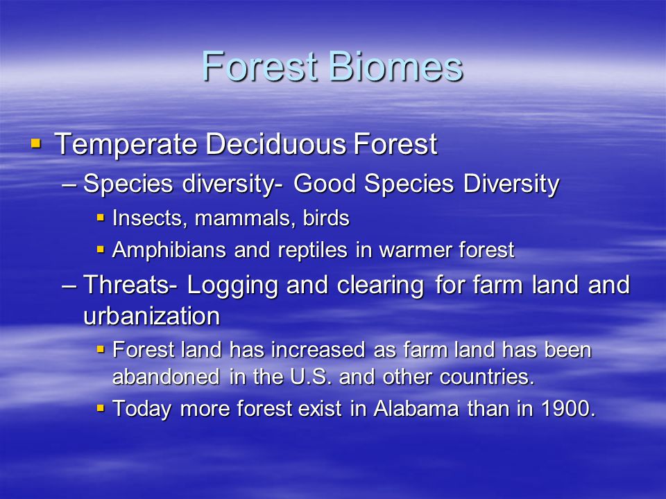 Forest Biomes Temperate Deciduous Forest