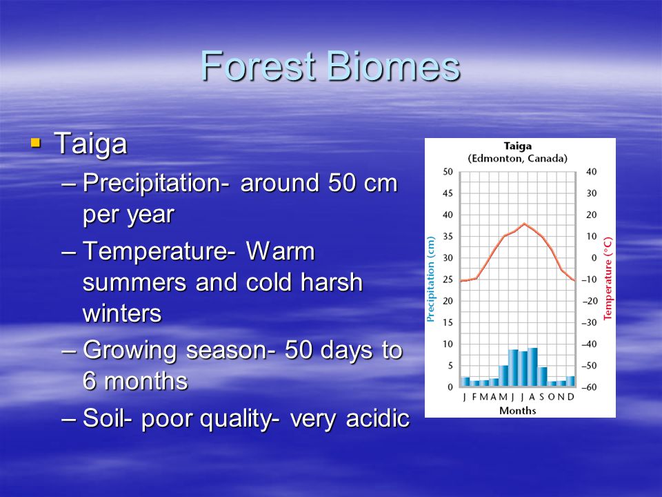 Forest Biomes Taiga Precipitation- around 50 cm per year