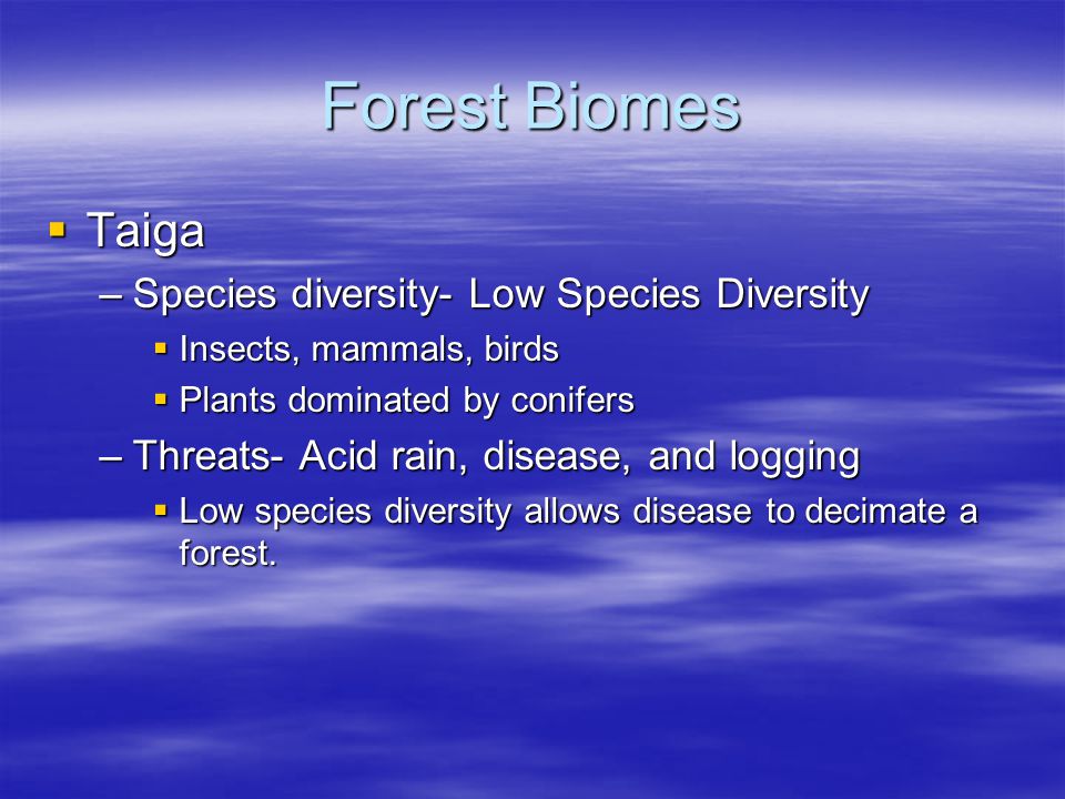 Forest Biomes Taiga Species diversity- Low Species Diversity