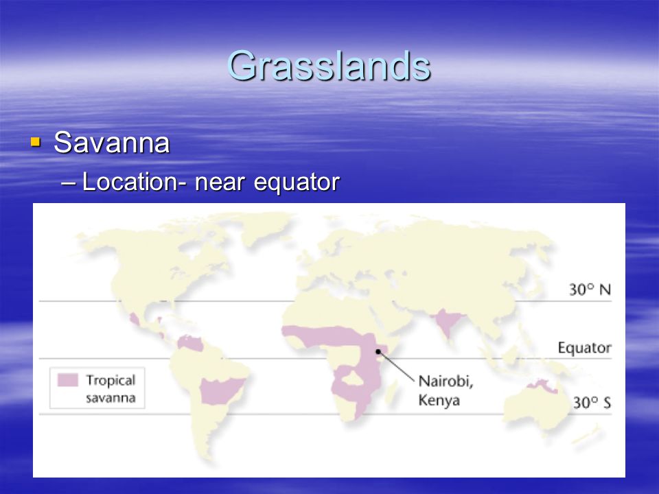 Grasslands Savanna Location- near equator
