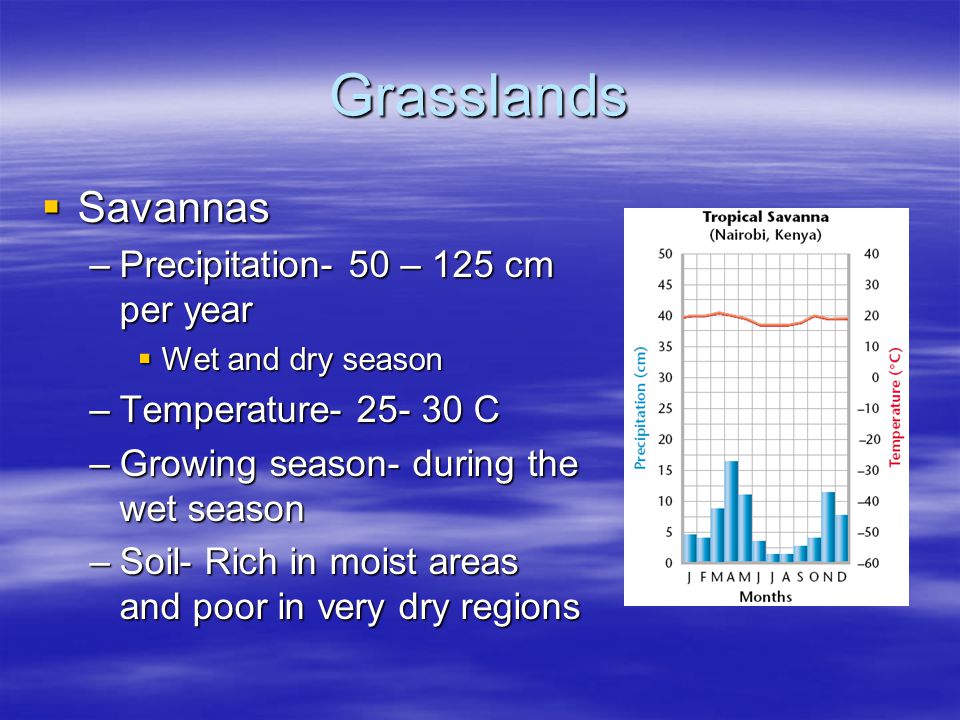 Grasslands Savannas Precipitation- 50 – 125 cm per year