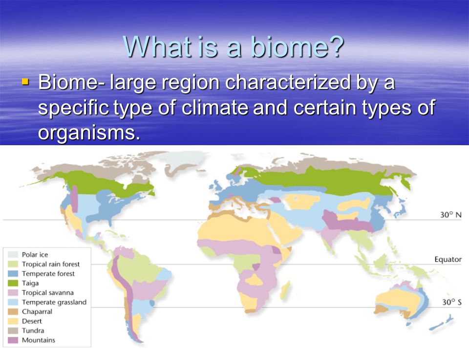 What is a biome.