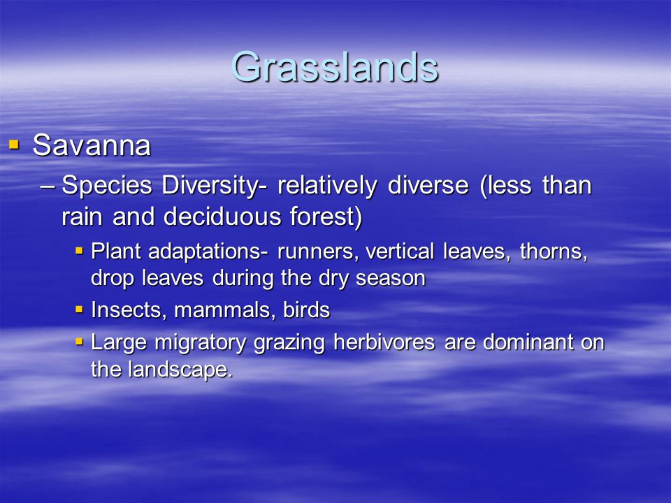 Grasslands Savanna. Species Diversity- relatively diverse (less than rain and deciduous forest)