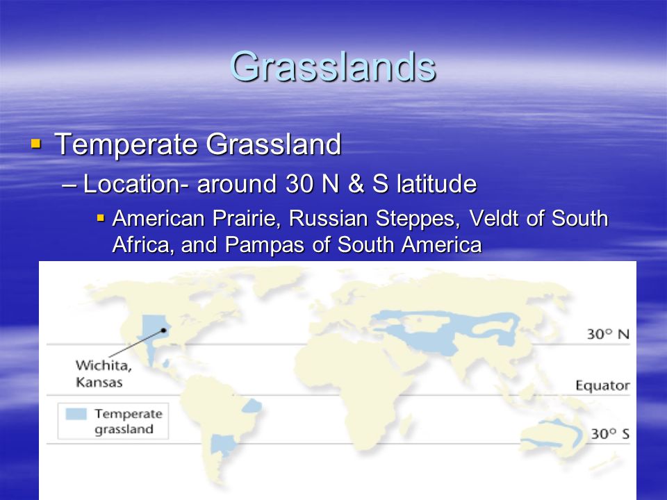 Grasslands Temperate Grassland Location- around 30 N & S latitude